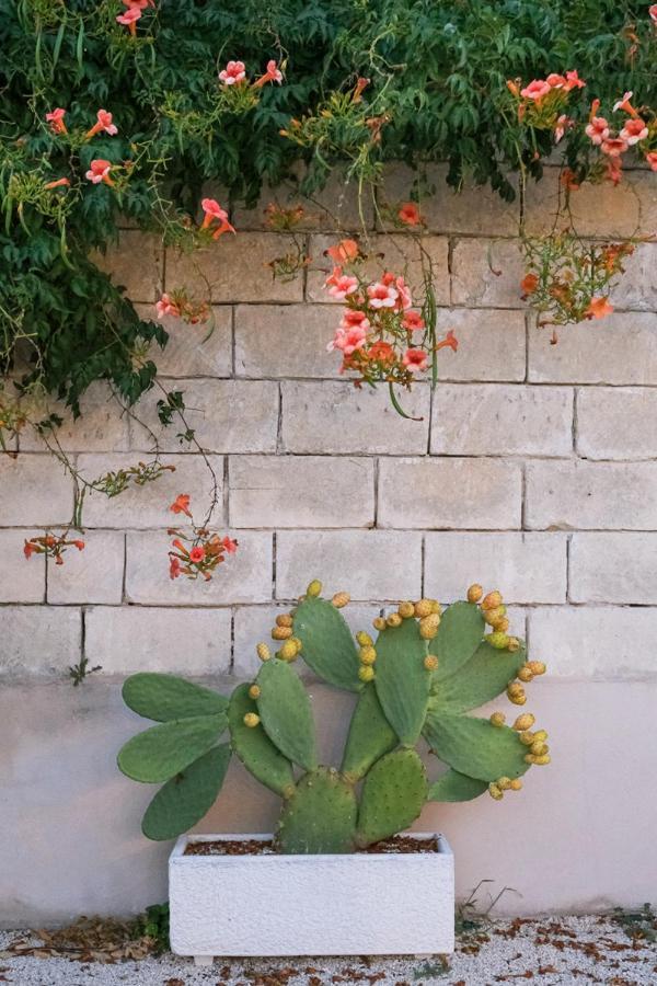 לינה וארוחת בוקר אוג'אנו לה קייזה Terra D'Otranto מראה חיצוני תמונה